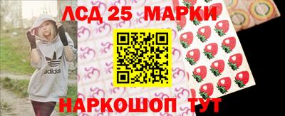 амф Гусев