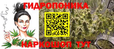 амф Гусев
