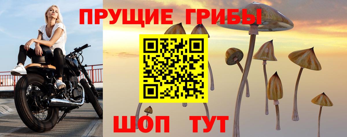 Псилоцибиновые грибы Cubensis  Вход с VPN  Галлюциногенные грибы Cubensis  Нарьян-Мар 